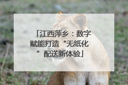江西萍乡：数字赋能打造“无纸化”配送新体验
