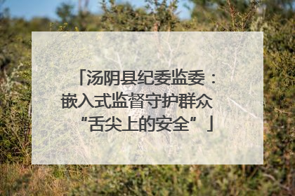 汤阴县纪委监委：嵌入式监督守护群众“舌尖上的安全”