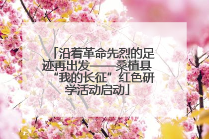 沿着革命先烈的足迹再出发——桑植县“我的长征”红色研学活动启动