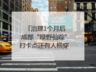 治理1个月后 成都“绿野仙踪”打卡点还有人横穿马路去拍照吗？｜民情瞭望