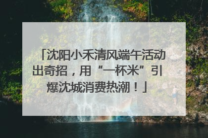 沈阳小禾清风端午活动出奇招，用“一杯米”引爆沈城消费热潮！