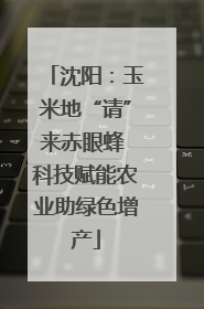 沈阳：玉米地“请”来赤眼蜂 科技赋能农业助绿色增产