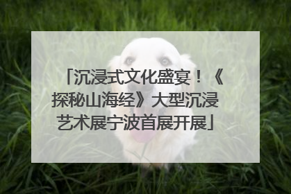 沉浸式文化盛宴！《探秘山海经》大型沉浸艺术展宁波首展开展