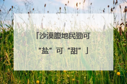 沙漠腹地民勤可“盐”可“甜”