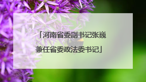 河南省委副书记张巍兼任省委政法委书记