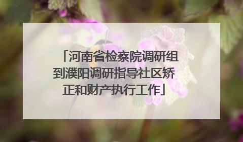 河南省检察院调研组到濮阳调研指导社区矫正和财产执行工作