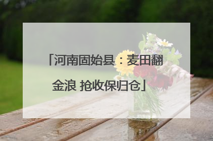 河南固始县：麦田翻金浪 抢收保归仓