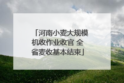 河南小麦大规模机收作业收官 全省麦收基本结束