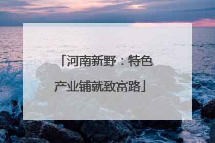 河南新野：特色产业铺就致富路