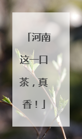 河南这一口茶，真香！