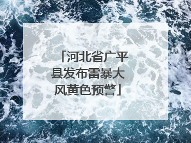 河北省广平县发布雷暴大风黄色预警