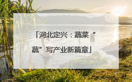 河北定兴：蔬菜“蔬”写产业新篇章