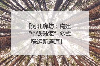 河北廊坊：构建“空铁陆海”多式联运新通道
