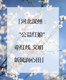 河北深州：“公益红娘”牵红线 文明新风润心田