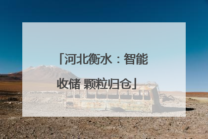河北衡水：智能收储 颗粒归仓