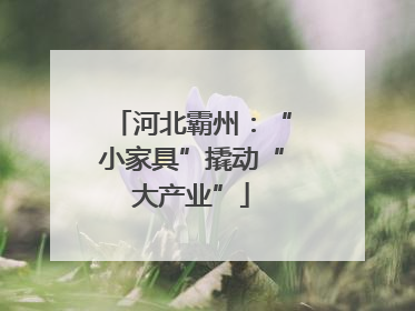 河北霸州：“小家具”撬动“大产业”