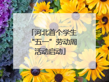 河北首个学生“五一”劳动周活动启动