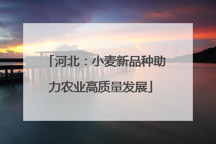 河北：小麦新品种助力农业高质量发展