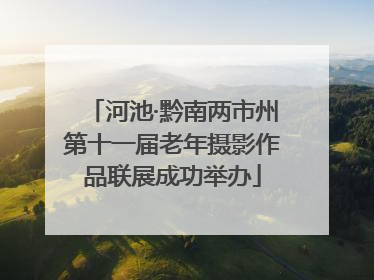 河池·黔南两市州第十一届老年摄影作品联展成功举办