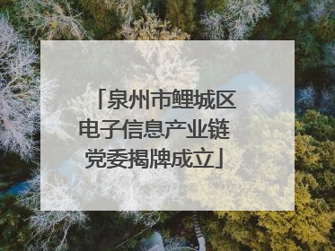 泉州市鲤城区电子信息产业链党委揭牌成立