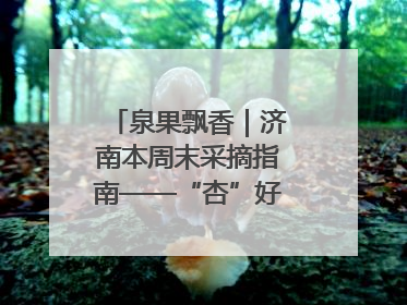 泉果飘香｜济南本周末采摘指南——“杏”好遇见你！