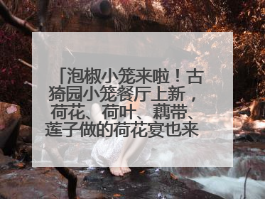 泡椒小笼来啦！古猗园小笼餐厅上新，荷花、荷叶、藕带、莲子做的荷花宴也来尝一下？
