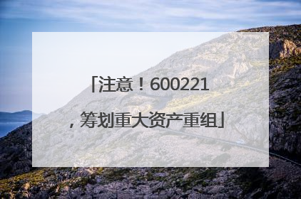 注意！600221，筹划重大资产重组