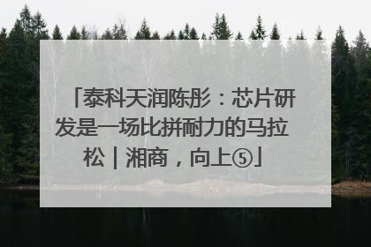 泰科天润陈彤：芯片研发是一场比拼耐力的马拉松｜湘商，向上⑤