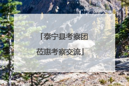 泰宁县考察团莅惠考察交流