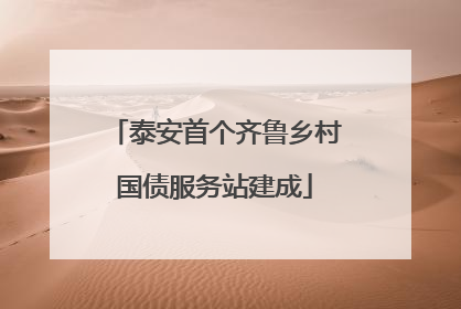 泰安首个齐鲁乡村国债服务站建成