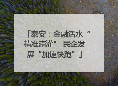 泰安：金融活水“精准滴灌” 民企发展“加速快跑”