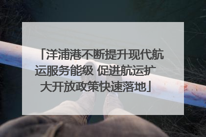洋浦港不断提升现代航运服务能级 促进航运扩大开放政策快速落地