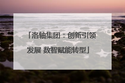 洛轴集团：创新引领发展 数智赋能转型