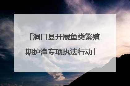 洞口县开展鱼类繁殖期护渔专项执法行动