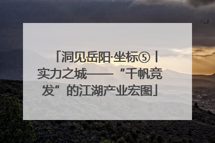 洞见岳阳·坐标⑤丨实力之城——“千帆竞发”的江湖产业宏图