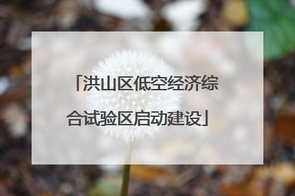 洪山区低空经济综合试验区启动建设