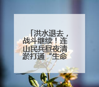 洪水退去，战斗继续！连山民兵昼夜清淤打通“生命通道”