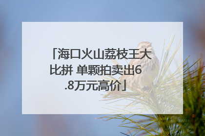海口火山荔枝王大比拼 单颗拍卖出6.8万元高价