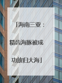 海南三亚：糙齿海豚被成功放归大海