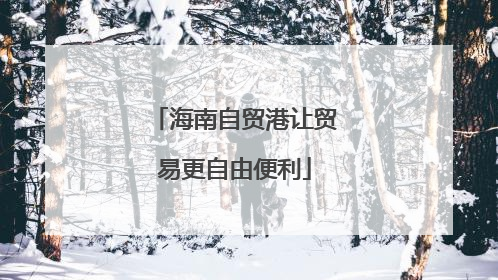 海南自贸港让贸易更自由便利