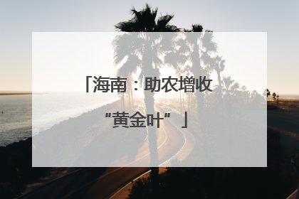 海南：助农增收 “黄金叶”