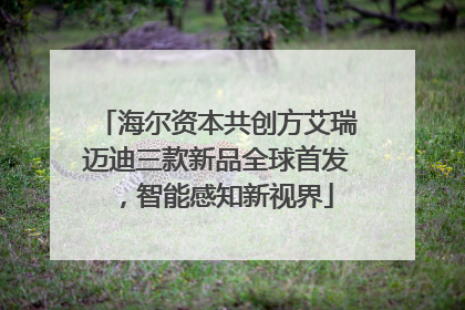 海尔资本共创方艾瑞迈迪三款新品全球首发，智能感知新视界