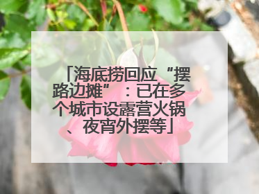海底捞回应“摆路边摊”：已在多个城市设露营火锅、夜宵外摆等