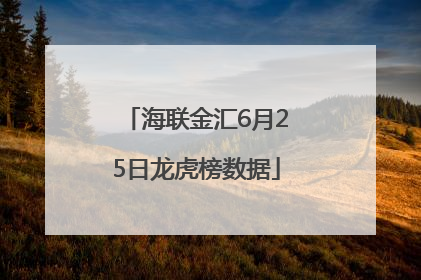 海联金汇6月25日龙虎榜数据