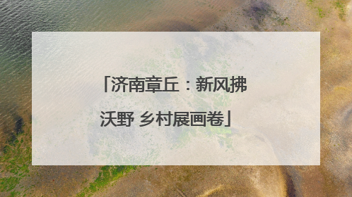 济南章丘：新风拂沃野 乡村展画卷