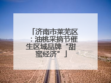 济南市莱芜区：油桃采摘节催生区域品牌“甜蜜经济”