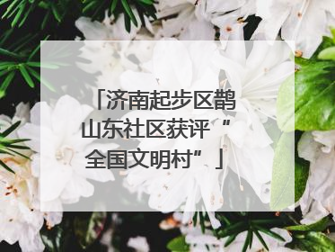 济南起步区鹊山东社区获评“全国文明村”