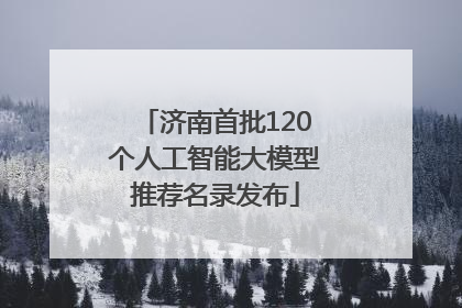济南首批120个人工智能大模型推荐名录发布