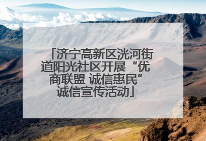 济宁高新区洸河街道阳光社区开展“优商联盟 诚信惠民”诚信宣传活动
