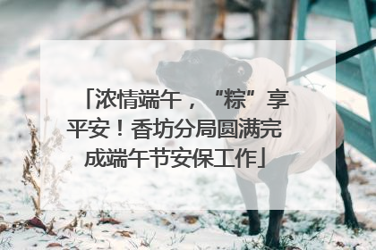 浓情端午，“粽”享平安！香坊分局圆满完成端午节安保工作